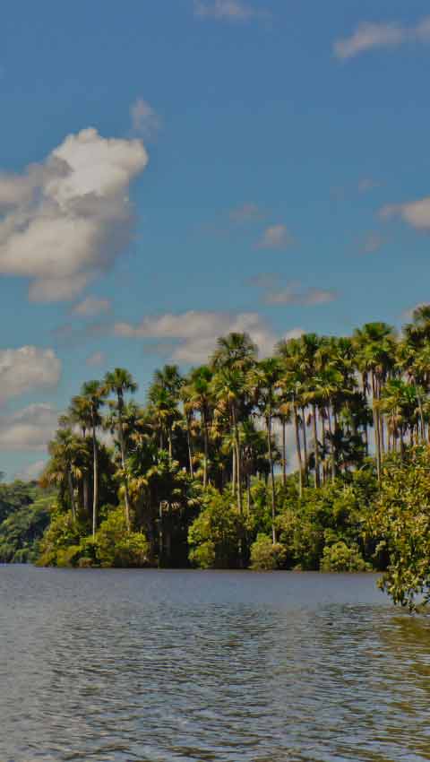 Madre De Dios Per Donde La Biodiversidad Se Siente