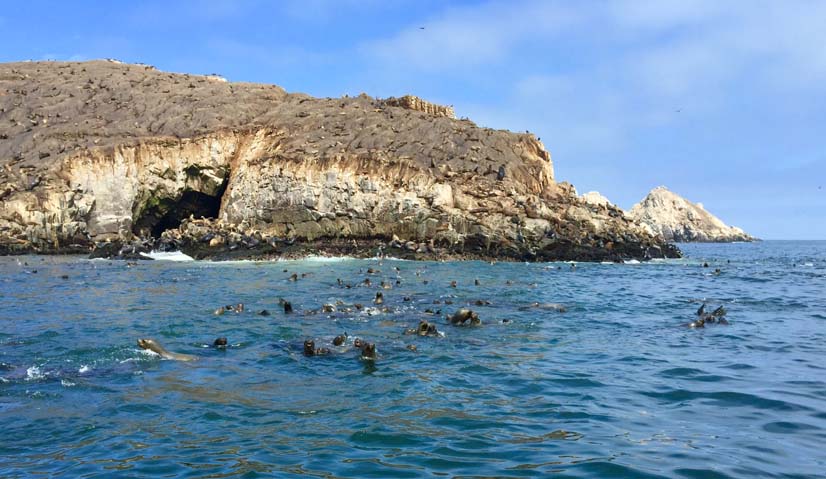 Disfruta La Experiencia De Pasear En Yate Por Las Islas Del Callao