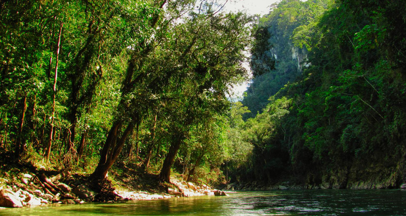 Estas son algunas de las reservas naturales de la Amazonía Peruana