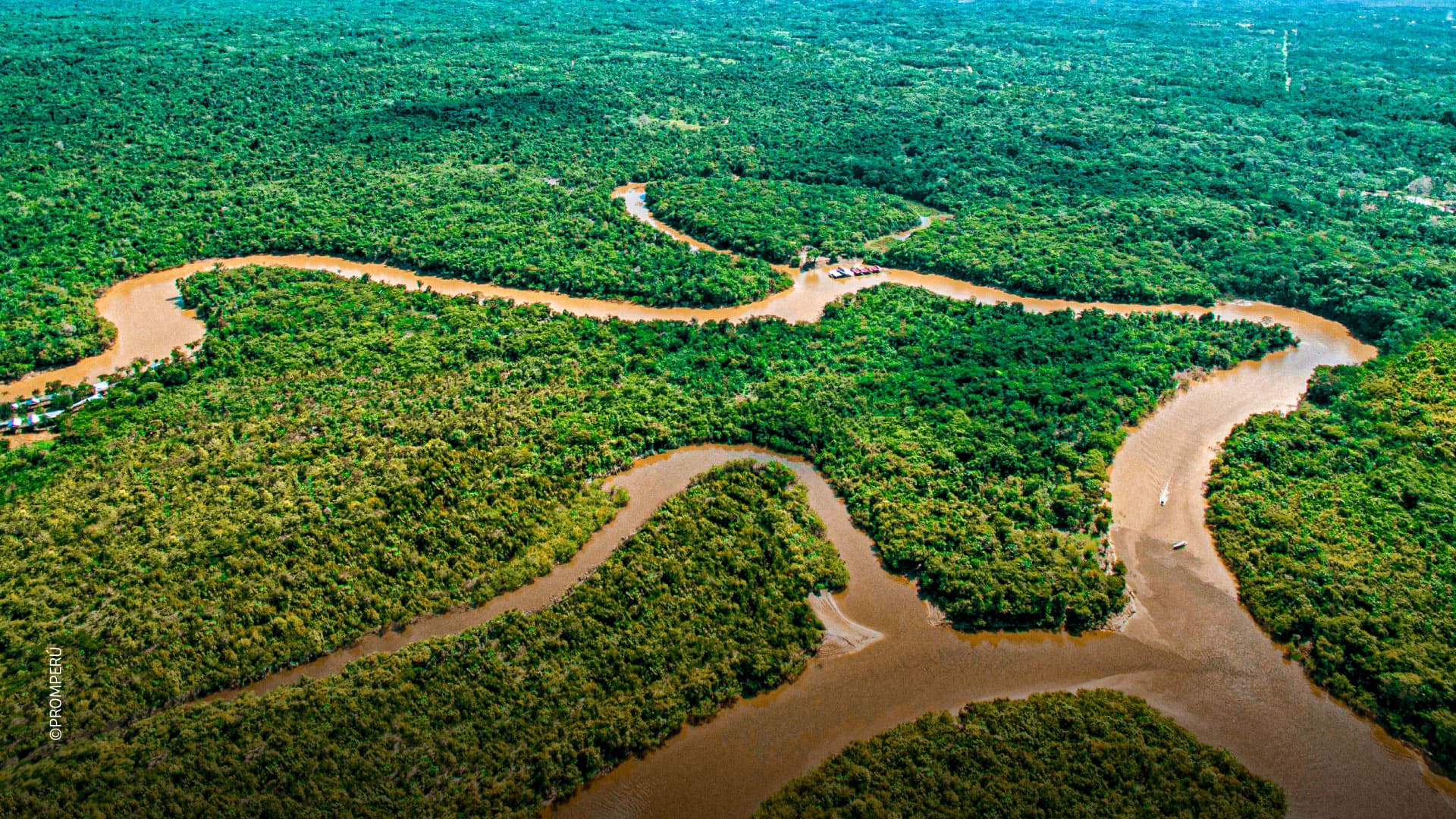 Luftaufnahme des Amazonasflusses