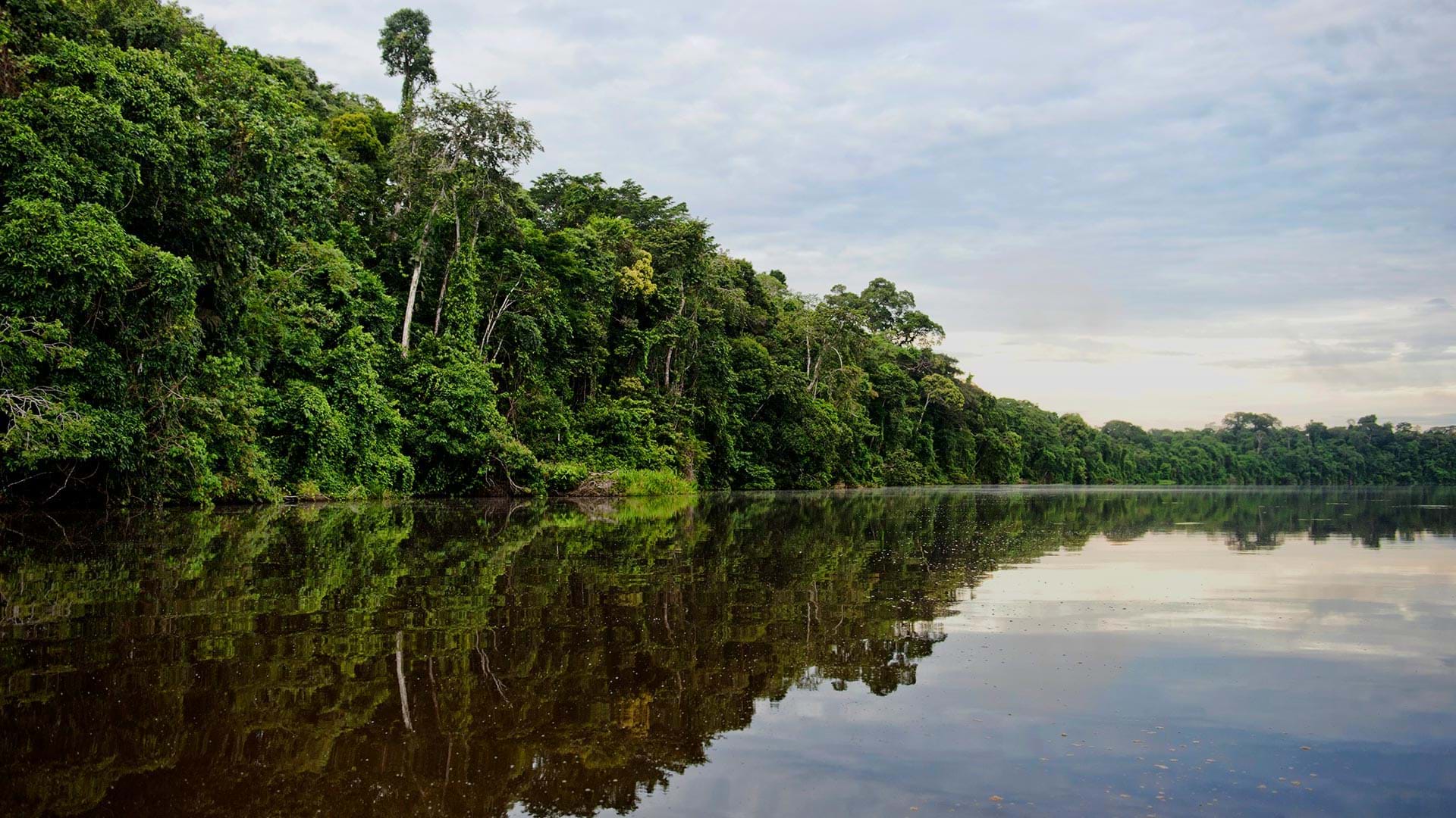 Tambopata, Provincia de Tambopata