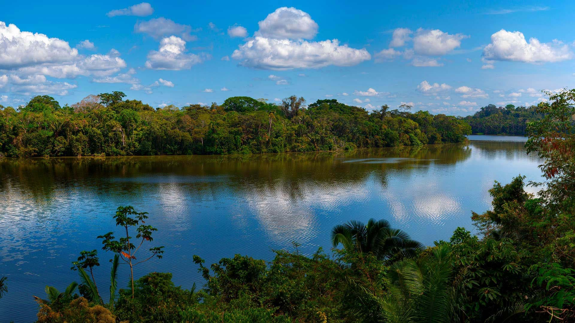 Tambopata Nature Reserve, the most beautiful part of Madre d