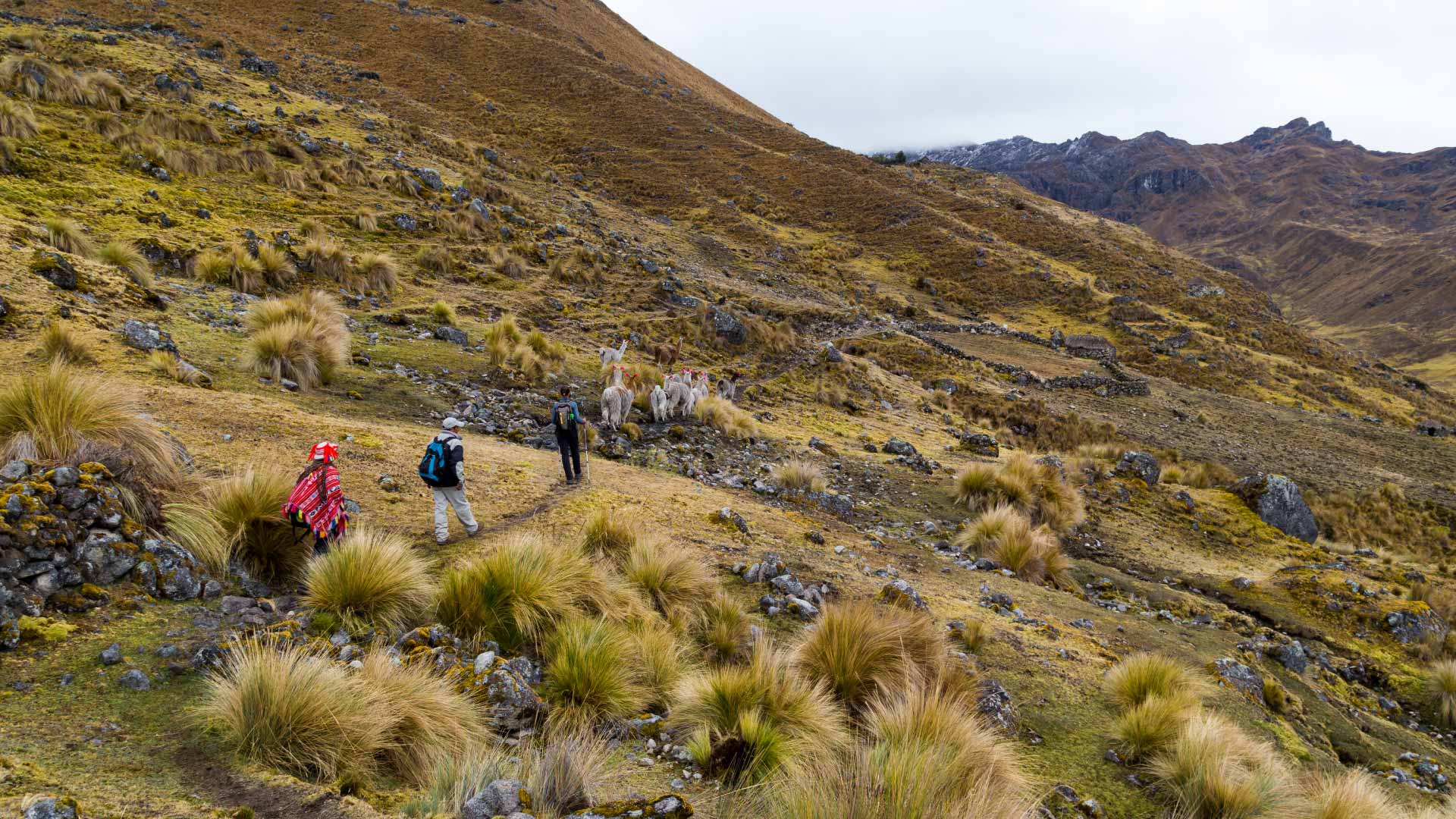 lares-en-cusco-per-travel