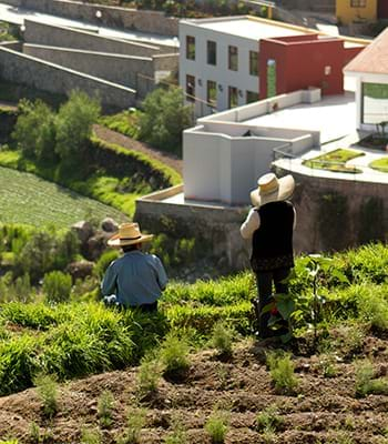 Visita a poblados del Colca