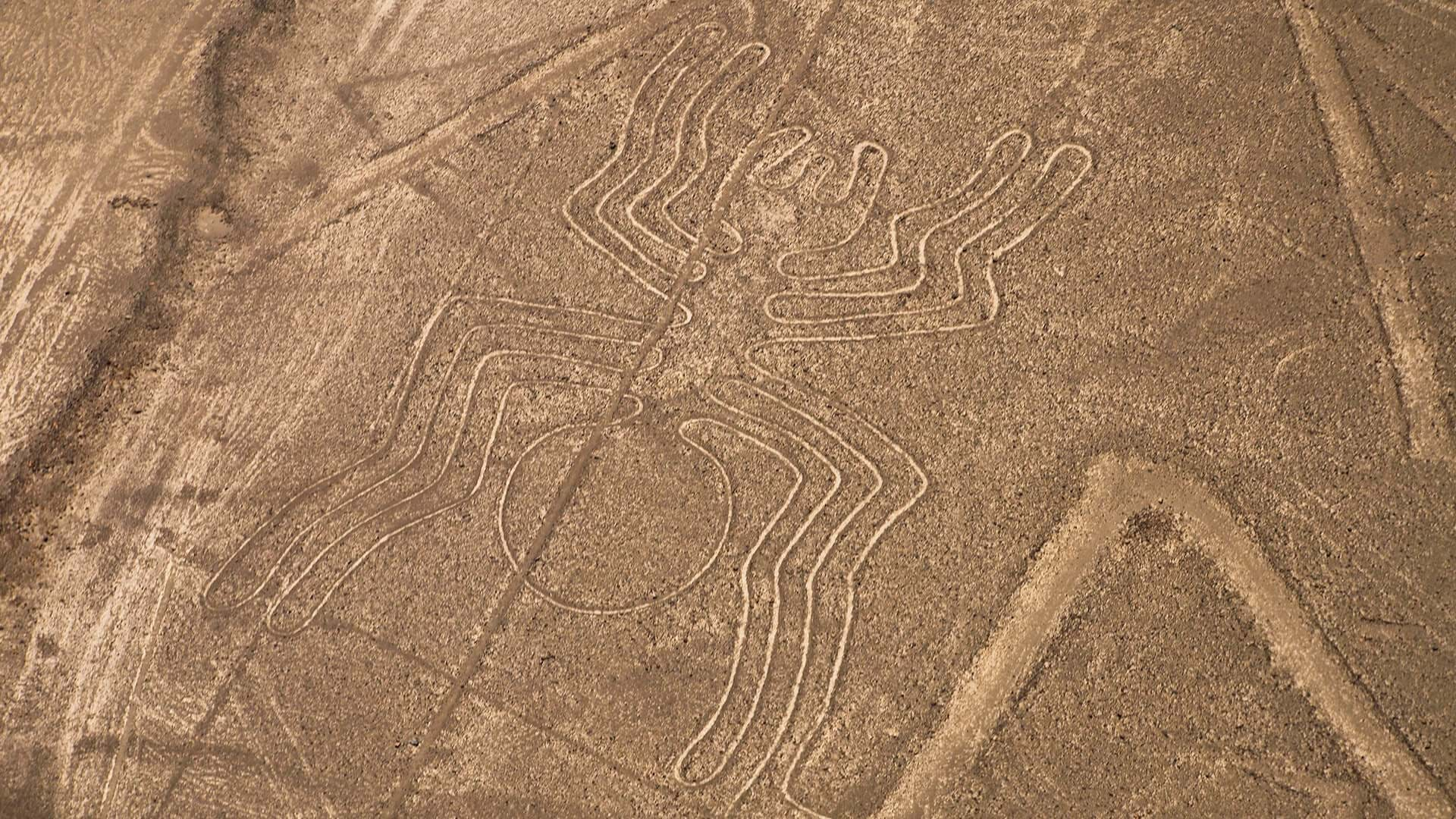 Lignes de Nasca