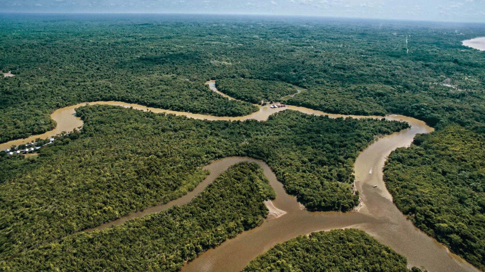 Anniversary of the Discovery of the Amazon River