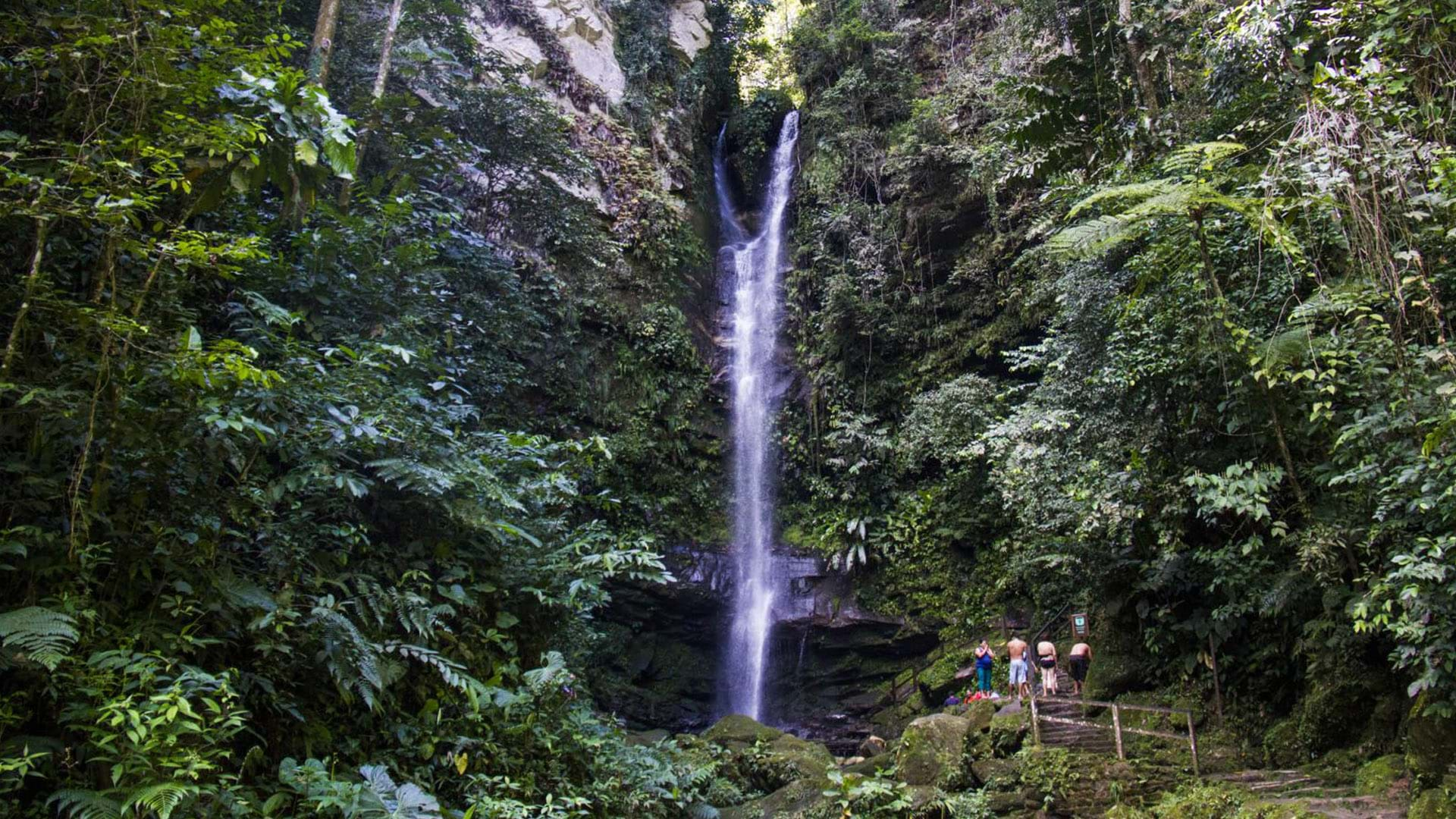 Recorrido de misterio por un bosque para conocer historias de