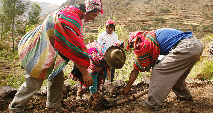 General Overview Of Peru: The Economy