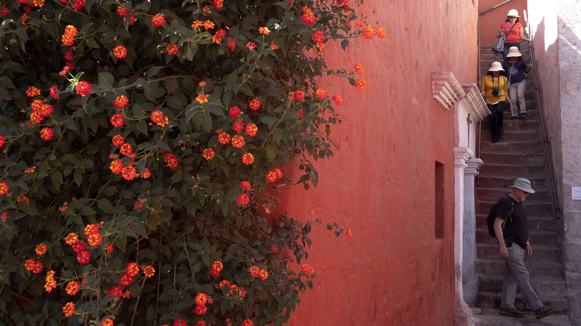 Monastère de Santa Catalina à Arequipa
